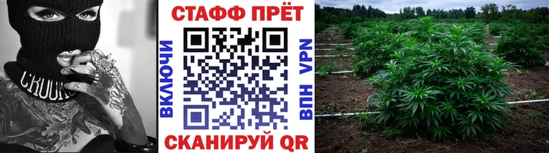 Купить наркотики цена Дзержинский Каннабис АМФ Меф Вейп ТГК Альфа ПВП Кокаин Метамфетамин