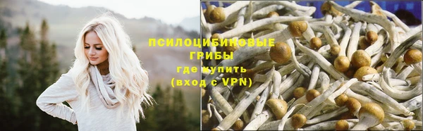 каннабис Горно-Алтайск
