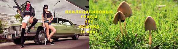 скорость mdpv Вяземский