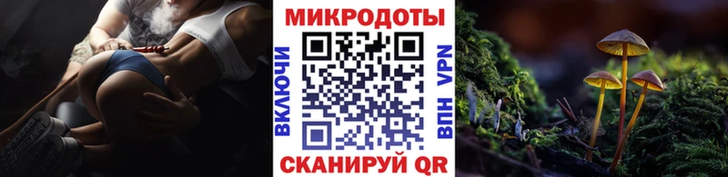 Галлюциногенные грибы Cubensis  Дзержинский 