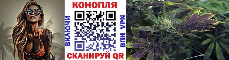 МАРИХУАНА SATIVA & INDICA  ОМГ ОМГ ССЫЛКА  Дзержинский 